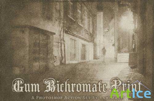 Gum Bichromate Print Action
