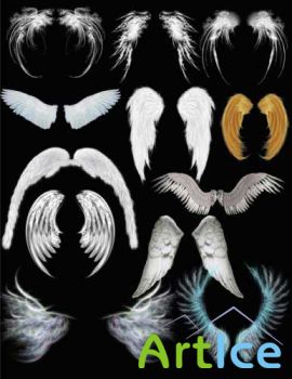   - Angel wings