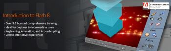 Digital -Tutors Introduction to Flash 8