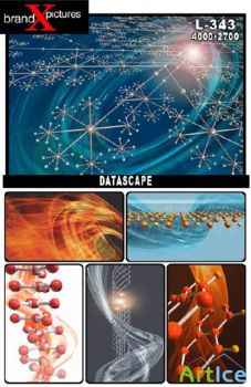 BrandX-L343-Datascape