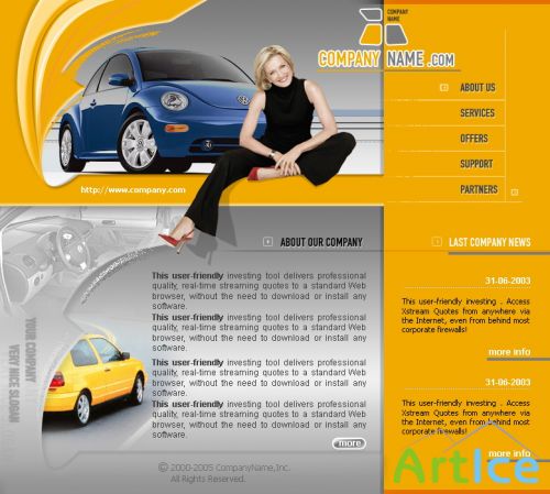 DesignLoad flash website template 895