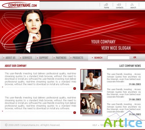 DesignLoad flash website template 927