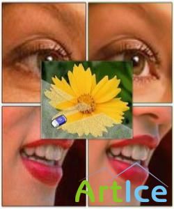 Neat Image v6.0 Pro Retail Neat Image v6.0 Pro Retail