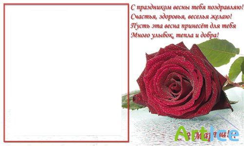    (75 .)