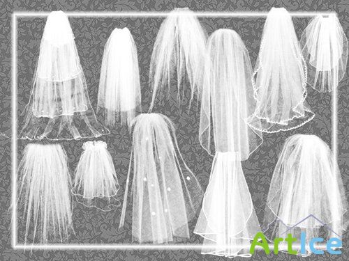 Wedding Brushes