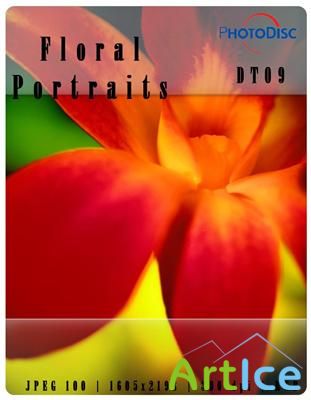 Floral Portraits