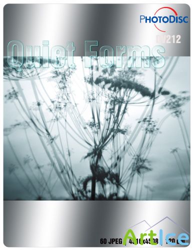 Quiet Forms