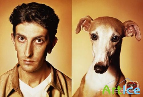 �������� ������ ����� - ��������� ������