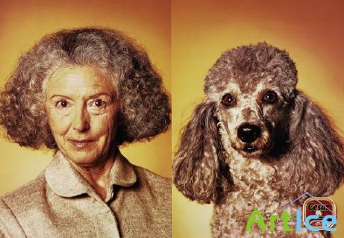 �������� ������ ����� - ��������� ������