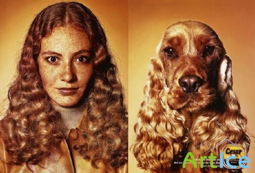 �������� ������ ����� - ��������� ������