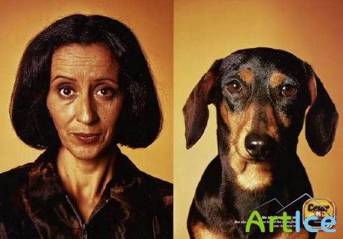 �������� ������ ����� - ��������� ������