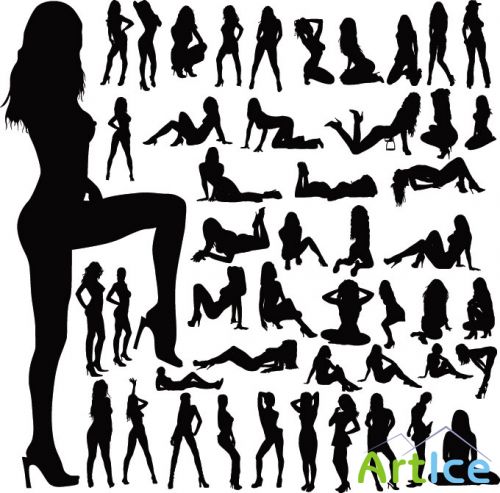 Stock (Legs - )
