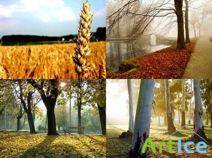 Natural Wallpapers Pack#6