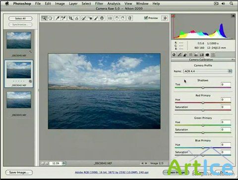 DesignProVideo: Photoshop CS4 105 - Digital Photography Workflows (2009)