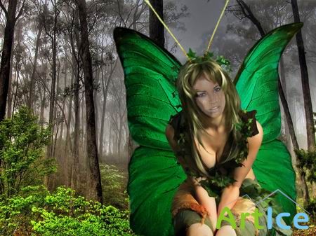   Photoshop  