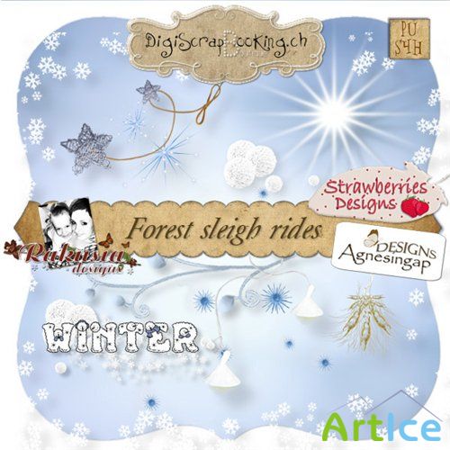    - Forest Sleigh Rides