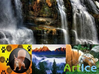 Wallpapers Nature and its Inhabitants