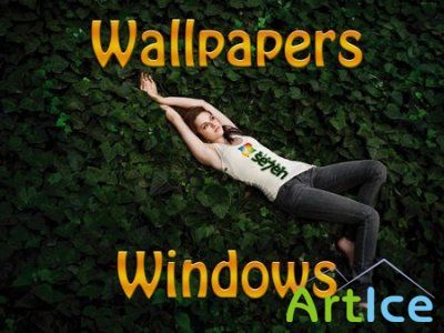    Windows 7