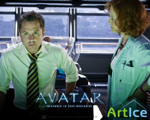  Avatar ( )