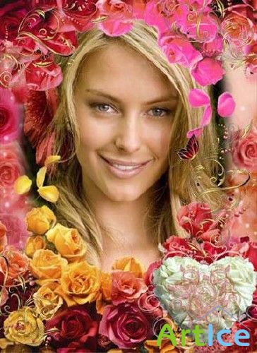   Adobe Photoshop -   