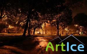 Wallpapers Collections 1