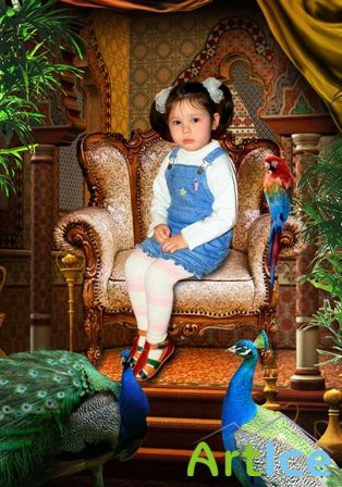   Photoshop-    