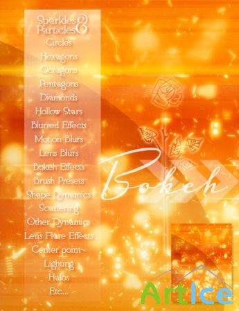 ����� ��� Photoshop- Rons Bokeh Lights