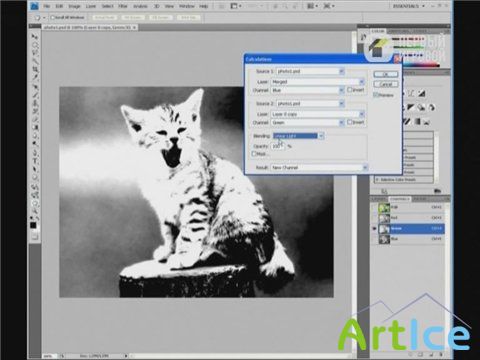 piXel:   Adobe Photoshop CS4 (2009)
