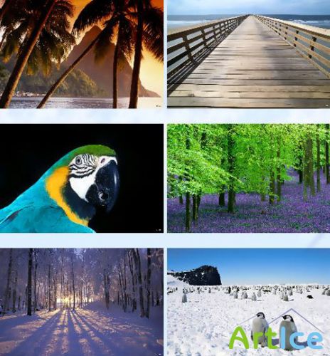 Amazing Nature Wallpapers
