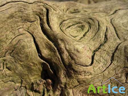 �������� ������