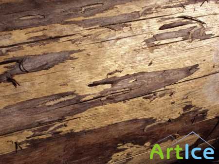 �������� ������