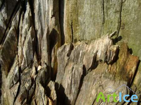 �������� ������