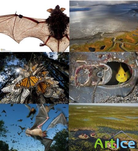  National Geographic   