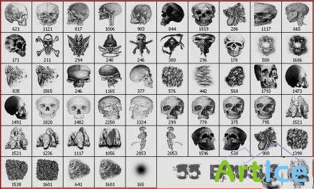   - "Photoshop Brushes Skulls 2 Professional"