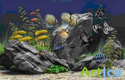 Dream Aquarium Screensaver 1.24 Portable