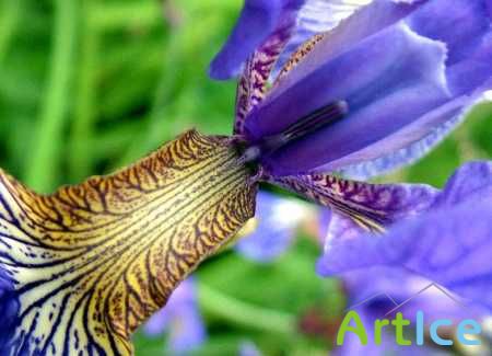 ���� ������������ ��� ������.