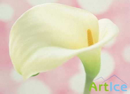 ���� ������������ ��� ������.