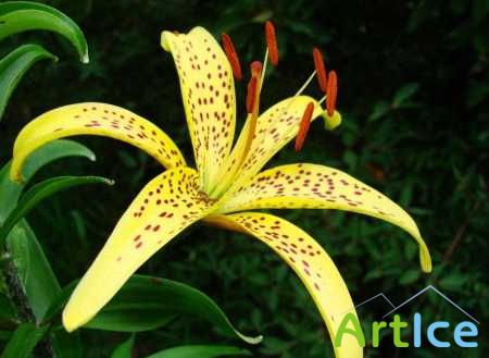 ���� ������������ ��� ������.