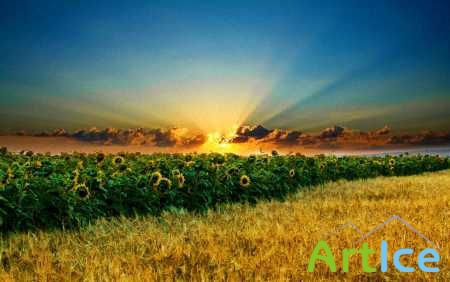  . (60 HQ Mixed HD Color)