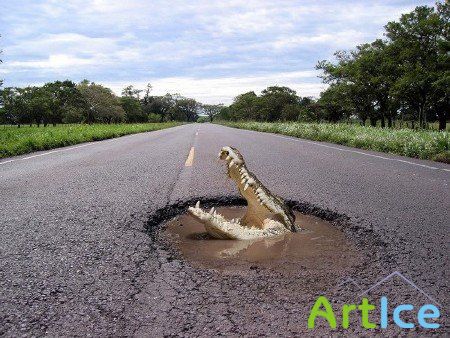 ����� ��������� ����� (����� 12)