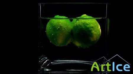 ����� ��������� ����� (����� 12)