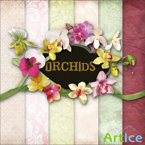 Scrap-set - Orchids