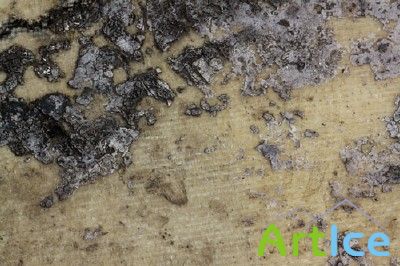 ������������ ������� � ������� - �������� �4 (������ ����������)