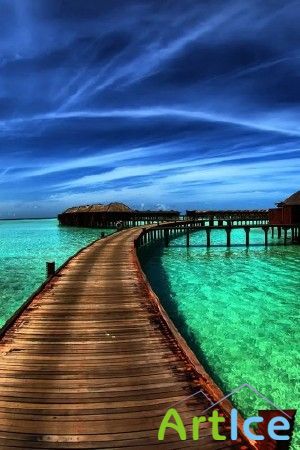 HD Wallpapers for IPhone (2011)