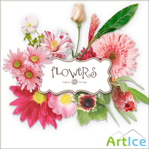 Scrap-kit - Flowers Illustrations #1