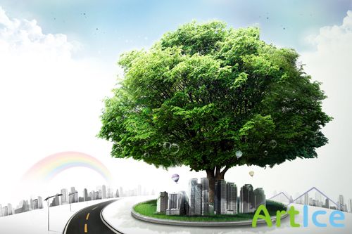 Sources - A large green tree