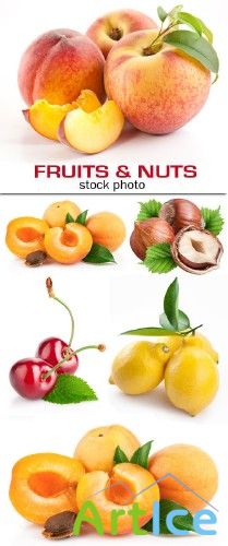 Fresh fruit 28 |   28