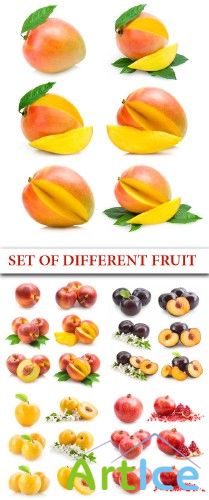 Set of different fruits |   