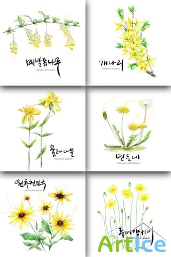 Flower backgrounds pack 8