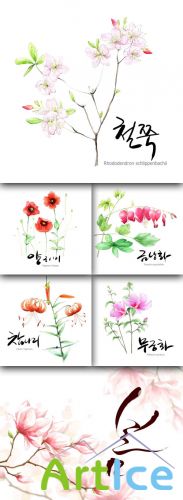 Flower backgrounds pack 15
